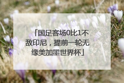国足客场0比1不敌印尼，提前一轮无缘美加墨世界杯