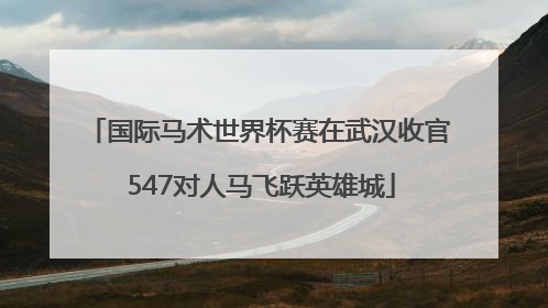 国际马术世界杯赛在武汉收官 547对人马飞跃英雄城