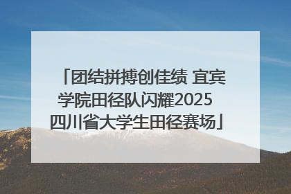 团结拼搏创佳绩 宜宾学院田径队闪耀2025四川省大学生田径赛场