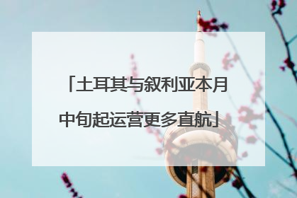 土耳其与叙利亚本月中旬起运营更多直航
