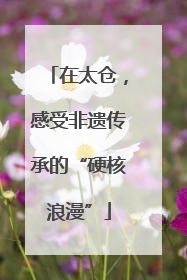在太仓，感受非遗传承的“硬核浪漫”