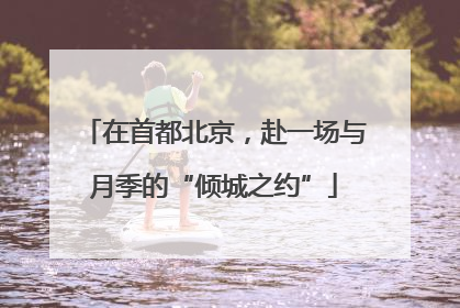 在首都北京，赴一场与月季的“倾城之约”