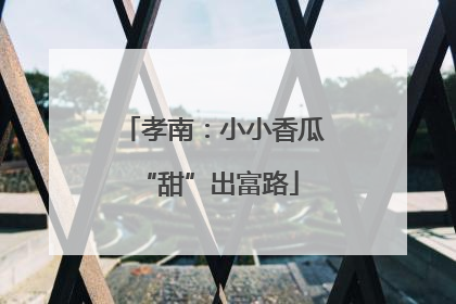 孝南：小小香瓜 “甜”出富路