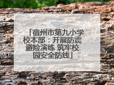 宿州市第九小学校本部：开展防震避险演练 筑牢校园安全防线