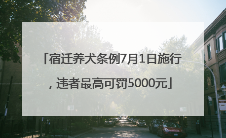 宿迁养犬条例7月1日施行，违者最高可罚5000元