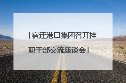 宿迁港口集团召开挂职干部交流座谈会
