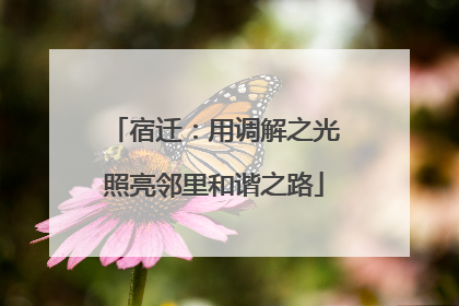 宿迁：用调解之光照亮邻里和谐之路