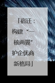 宿迁：构建“一核两翼”护企优商新格局