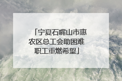 宁夏石嘴山市惠农区总工会助困难职工重燃希望