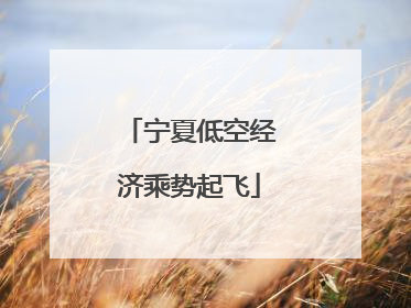 宁夏低空经济乘势起飞