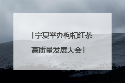 宁夏举办枸杞红茶高质量发展大会