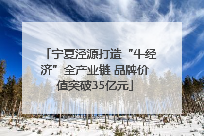 宁夏泾源打造“牛经济”全产业链 品牌价值突破35亿元