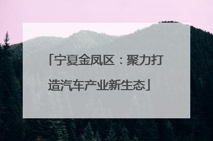宁夏金凤区：聚力打造汽车产业新生态