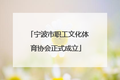 宁波市职工文化体育协会正式成立