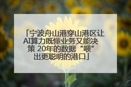 宁波舟山港穿山港区让AI算力既懂业务又能决策 20年的数据“喂”出更聪明的港口