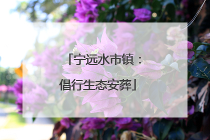 宁远水市镇：倡行生态安葬