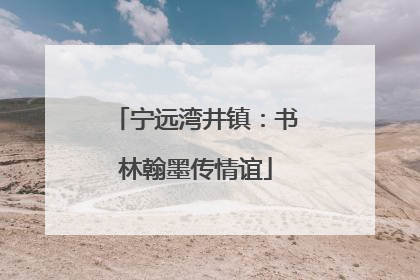 宁远湾井镇：书林翰墨传情谊