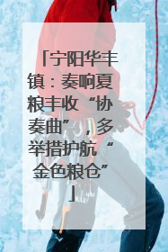 宁阳华丰镇：奏响夏粮丰收“协奏曲”，多举措护航“金色粮仓”