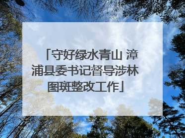 守好绿水青山 漳浦县委书记督导涉林图斑整改工作