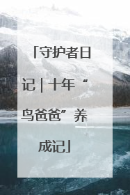 守护者日记｜十年“鸟爸爸”养成记