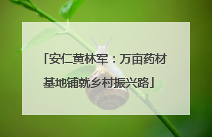 安仁黄林军：万亩药材基地铺就乡村振兴路