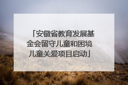 安徽省教育发展基金会留守儿童和困境儿童关爱项目启动