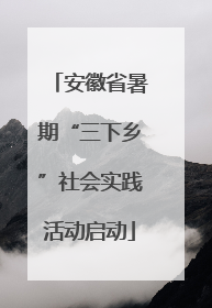安徽省暑期“三下乡”社会实践活动启动