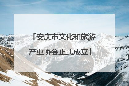 安庆市文化和旅游产业协会正式成立