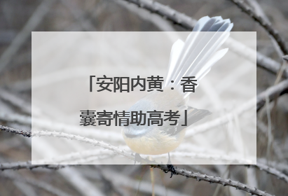 安阳内黄：香囊寄情助高考