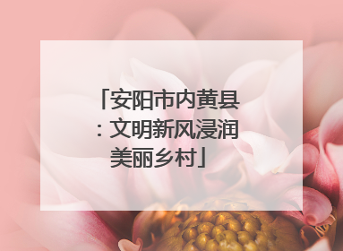 安阳市内黄县：文明新风浸润美丽乡村