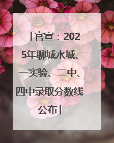 官宣：2025年聊城水城、一实验、二中、四中录取分数线公布