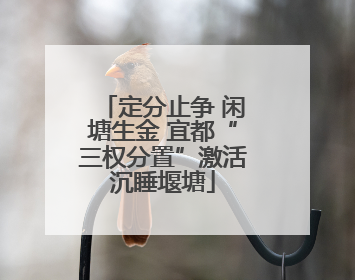 定分止争 闲塘生金 宜都“三权分置”激活沉睡堰塘