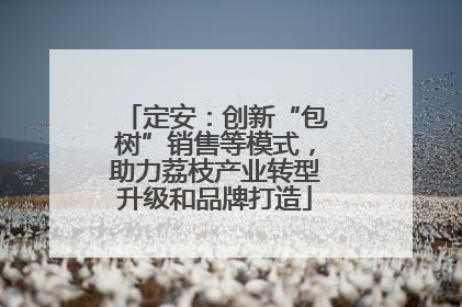 定安：创新“包树”销售等模式，助力荔枝产业转型升级和品牌打造