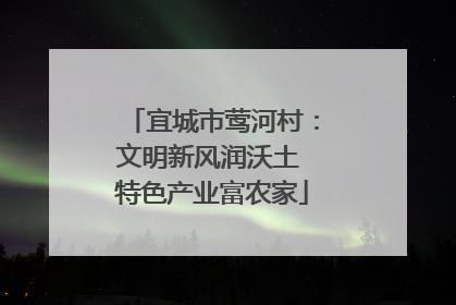 宜城市莺河村：文明新风润沃土 特色产业富农家