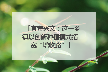 宜宾兴文：这一乡镇以创新种植模式拓宽“增收路”