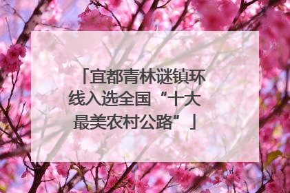 宜都青林谜镇环线入选全国“十大最美农村公路”