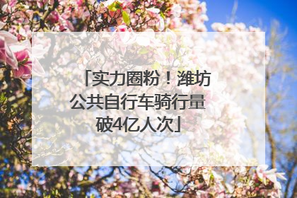 实力圈粉！潍坊公共自行车骑行量破4亿人次