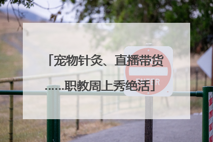 宠物针灸、直播带货……职教周上秀绝活