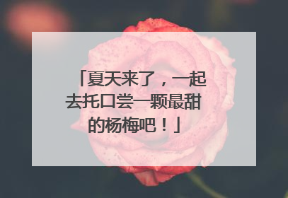 夏天来了，一起去托口尝一颗最甜的杨梅吧！