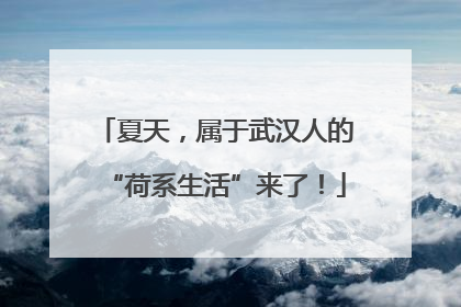 夏天，属于武汉人的“荷系生活”来了！