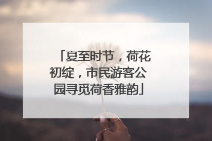 夏至时节，荷花初绽，市民游客公园寻觅荷香雅韵