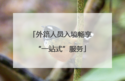 外籍人员入境畅享“一站式”服务