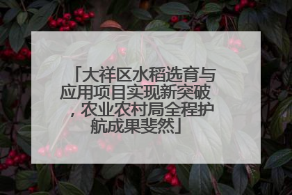 大祥区水稻选育与应用项目实现新突破，农业农村局全程护航成果斐然