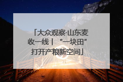 大众观察·山东麦收一线丨“一块田”打开产粮新空间
