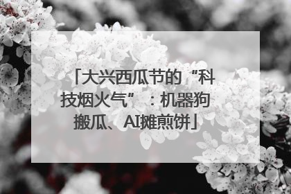 大兴西瓜节的“科技烟火气”：机器狗搬瓜、AI摊煎饼