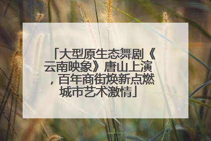 大型原生态舞剧《云南映象》唐山上演，百年商街焕新点燃城市艺术激情