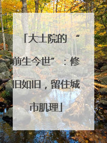 大士院的 “前生今世”：修旧如旧，留住城市肌理