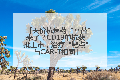 天价抗癌药“平替”来了？CD19单抗获批上市，治疗“靶点”与CAR-T相同