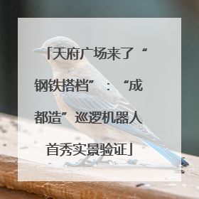天府广场来了“钢铁搭档”：“成都造”巡逻机器人首秀实景验证