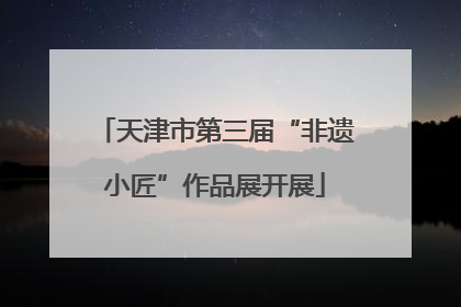 天津市第三届“非遗小匠”作品展开展